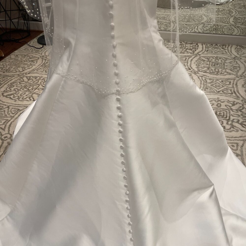 Wedding Dress - Picture 3 of 3